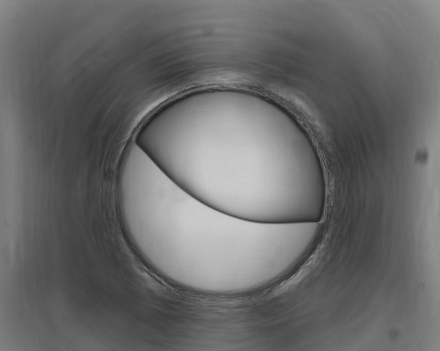 X0000097591073200802290744