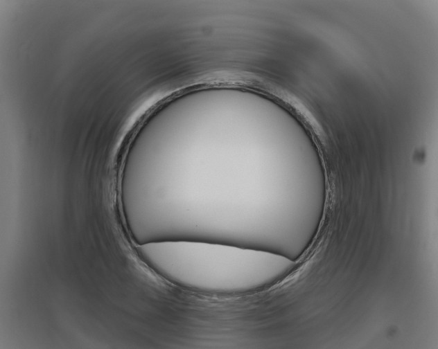 X0000097591075200802290744