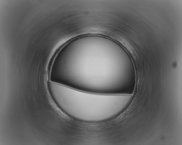 X0000097591080200802290744