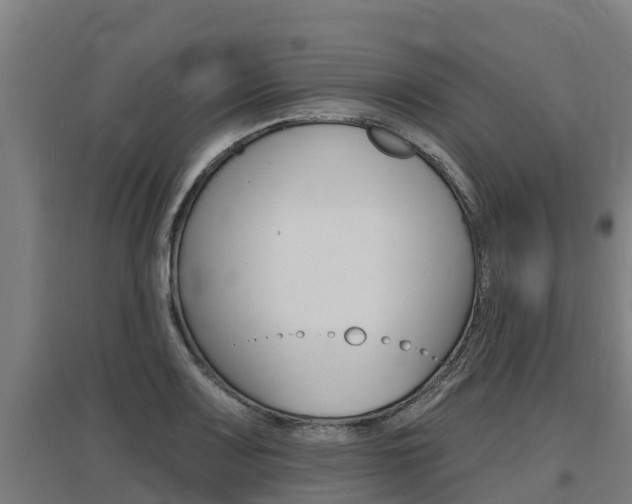 X0000097591083200802290744
