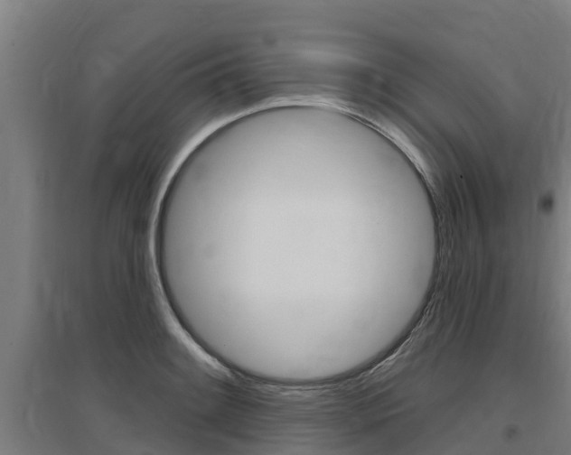 X0000097591084200802290744