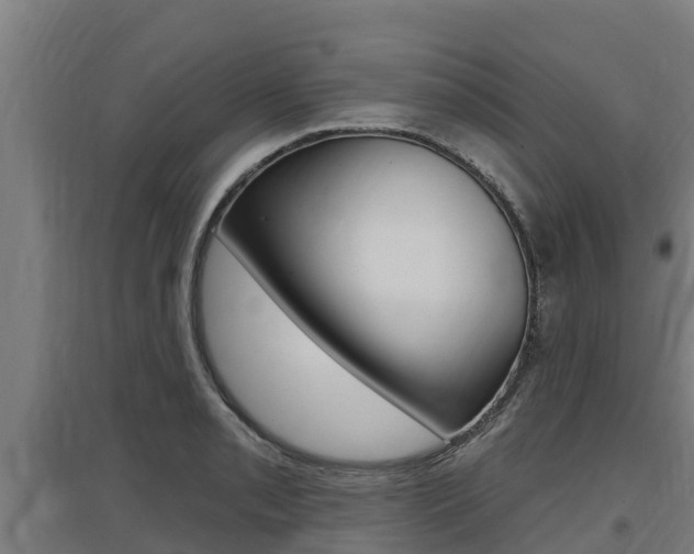 X0000097591085200802290744