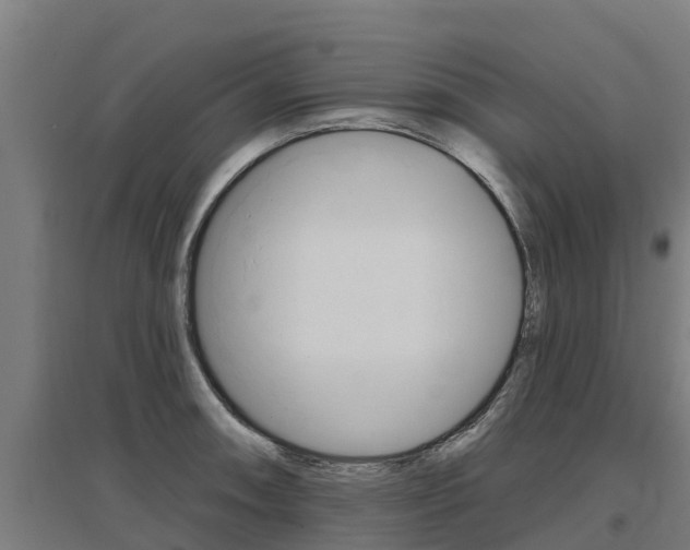 X0000097591090200802290744