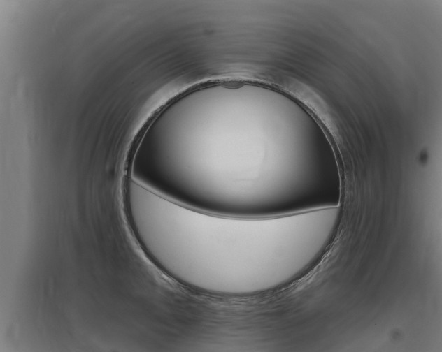 X0000097591093200802290744
