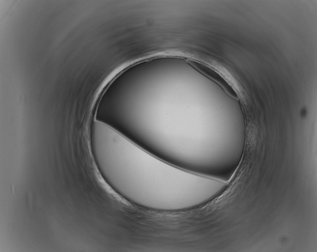 X0000097591100200802290744