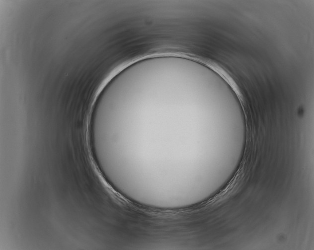 X0000097591101200802290744
