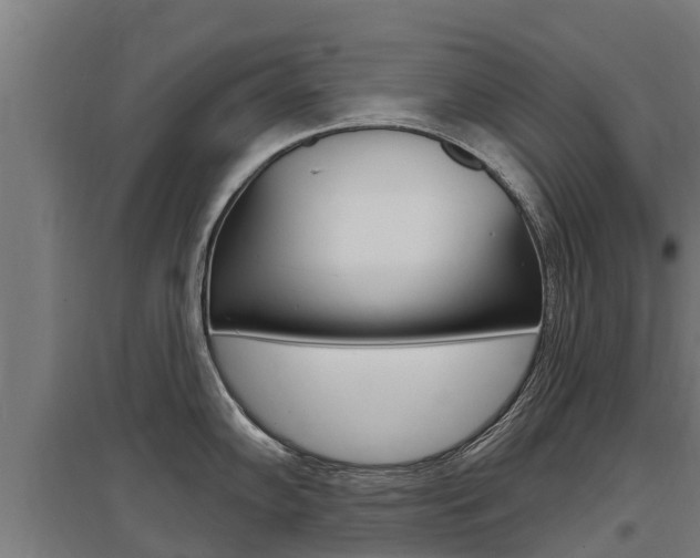 X0000097591102200802290744