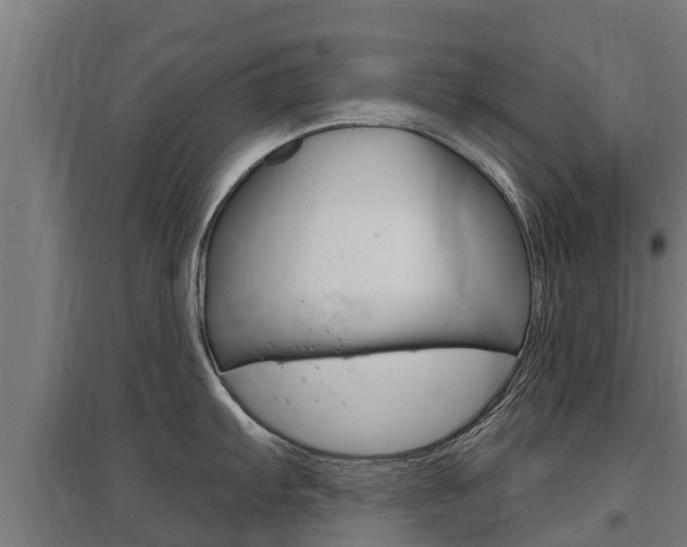 X0000097591103200802290744