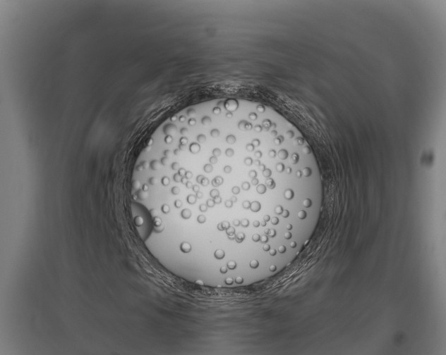X0000097591105200802290743
