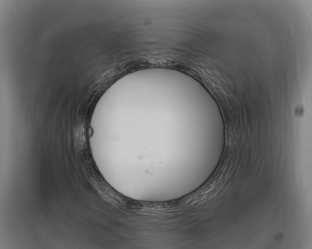X0000097591106200802290743