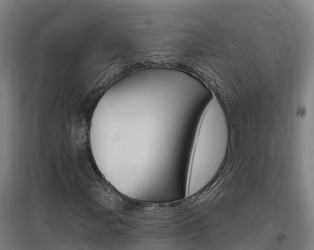 X0000097591107200802290743