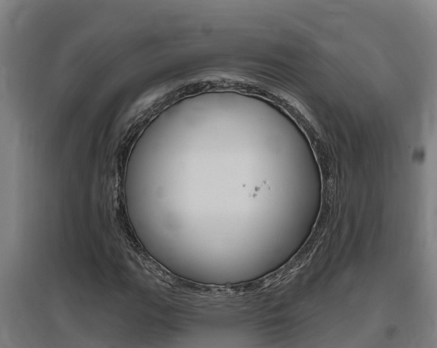 X0000097591111200802290743