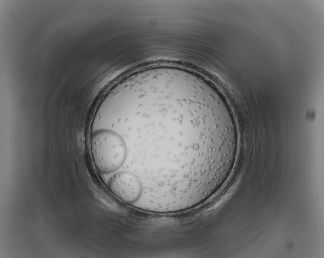 X0000097591113200802290743