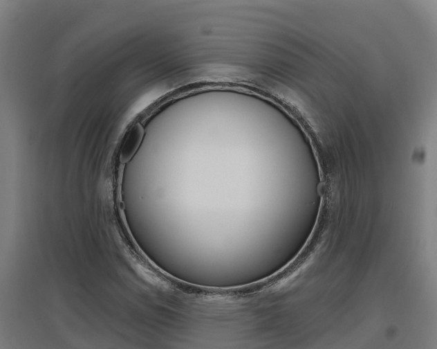 X0000097591114200802290743