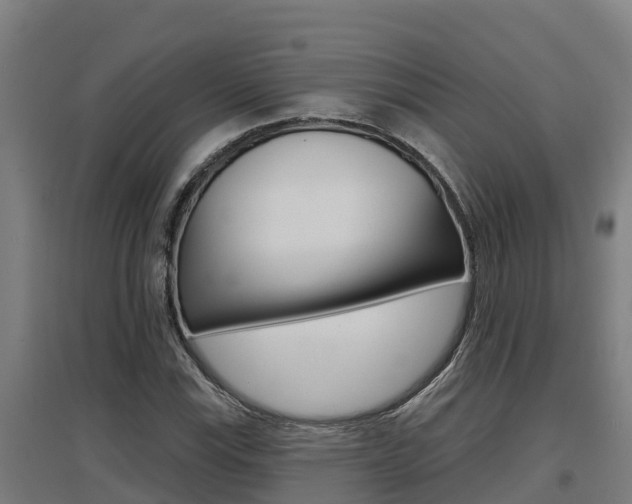 X0000097591115200802290743
