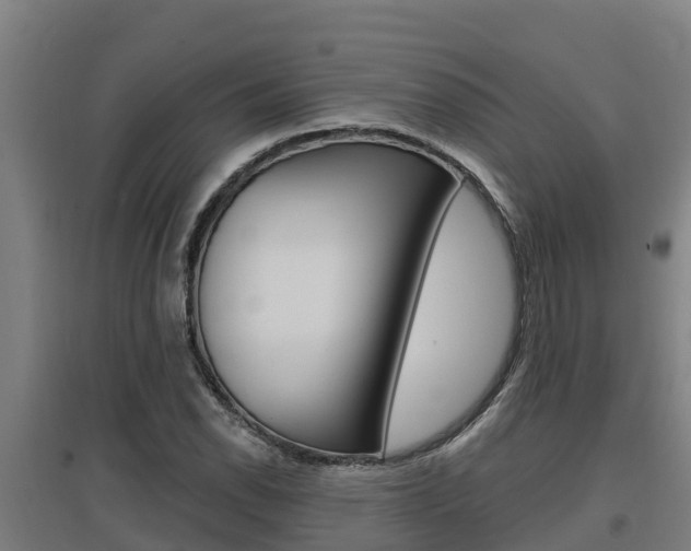 X0000097591118200802290743