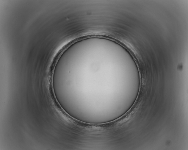 X0000097591119200802290743