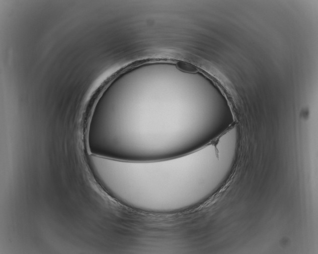 X0000097591120200802290743