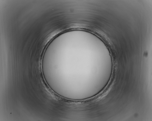 X0000097591121200802290743