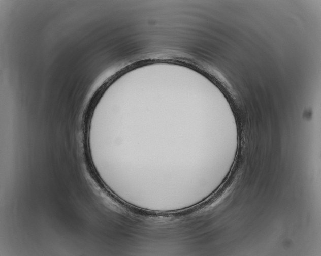 X0000097591122200802290743
