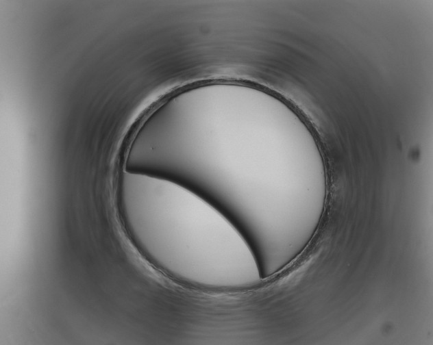 X0000097591126200802290743