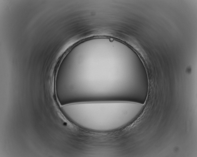 X0000097591127200802290743