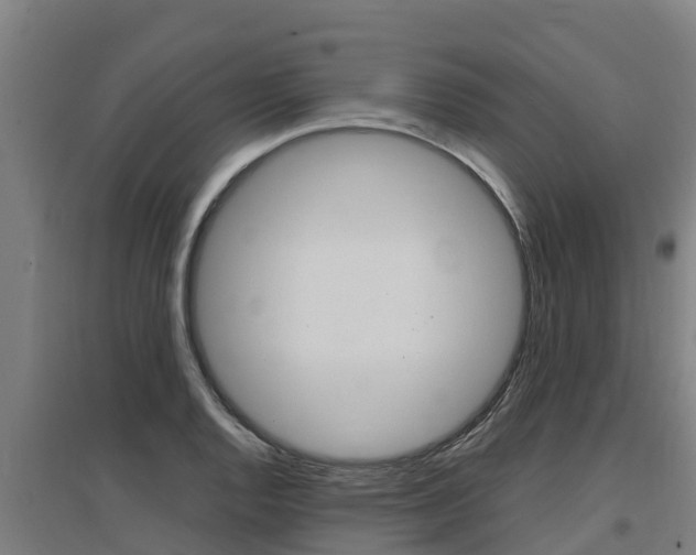 X0000097591128200802290743