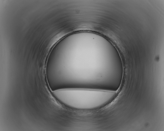 X0000097591129200802290743
