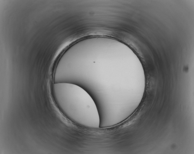 X0000097591130200802290743