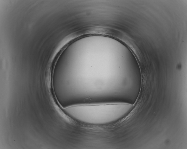 X0000097591131200802290743