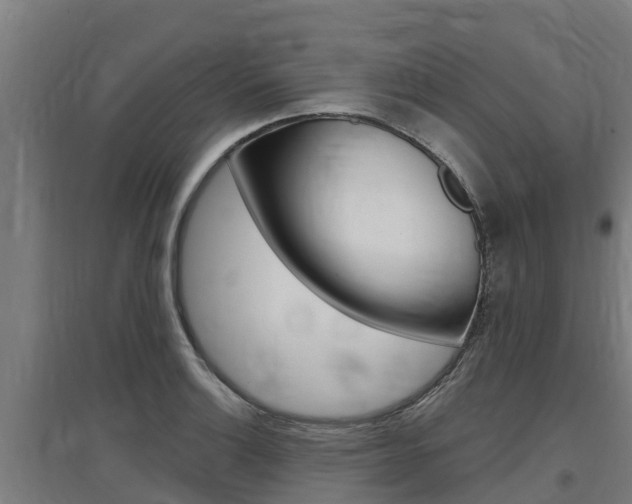 X0000097591132200802290743