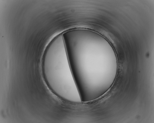 X0000097591133200802290743