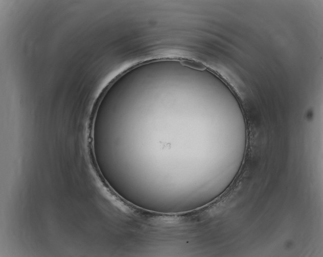 X0000097591134200802290743