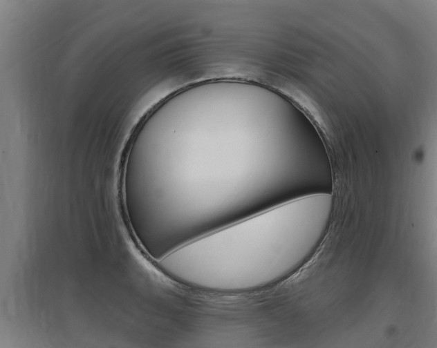 X0000097591135200802290743