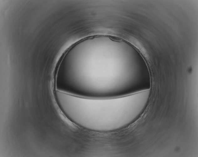 X0000097591136200802290743