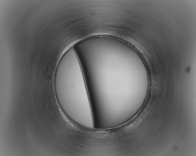 X0000097591137200802290743