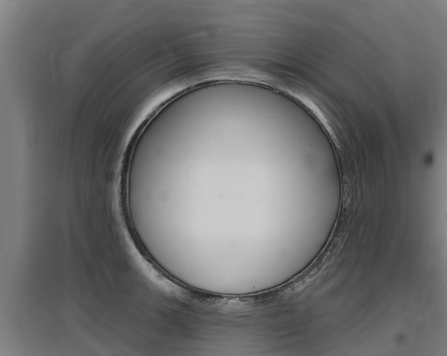 X0000097591139200802290743