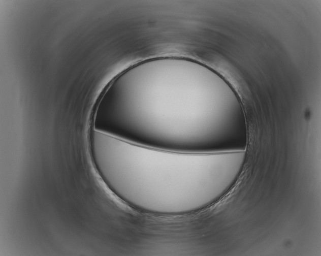 X0000097591142200802290744