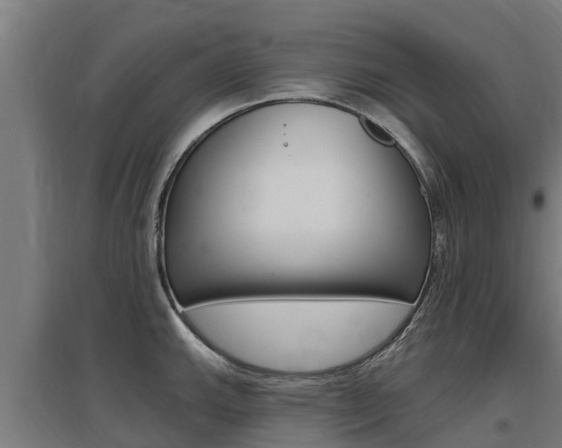 X0000097591143200802290744