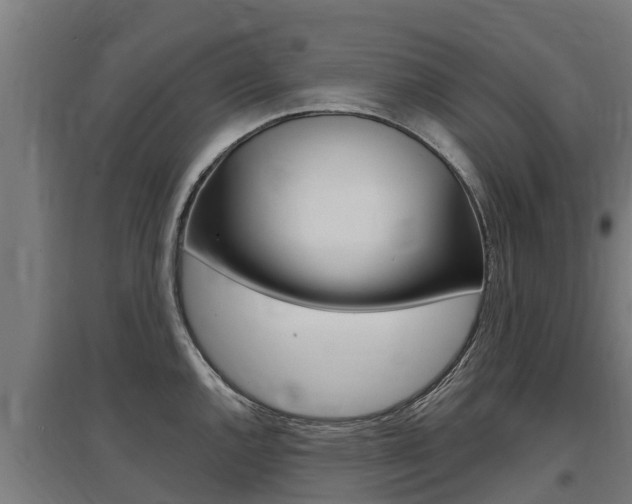 X0000097591144200802290744