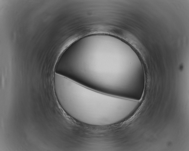X0000097591145200802290744
