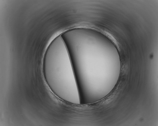 X0000097591146200802290744