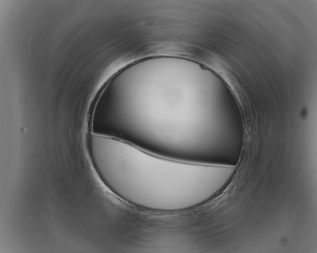 X0000097591147200802290744