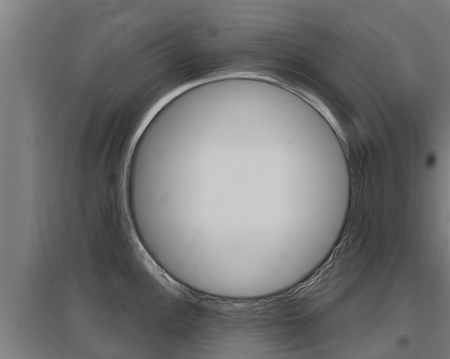 X0000097591148200802290744