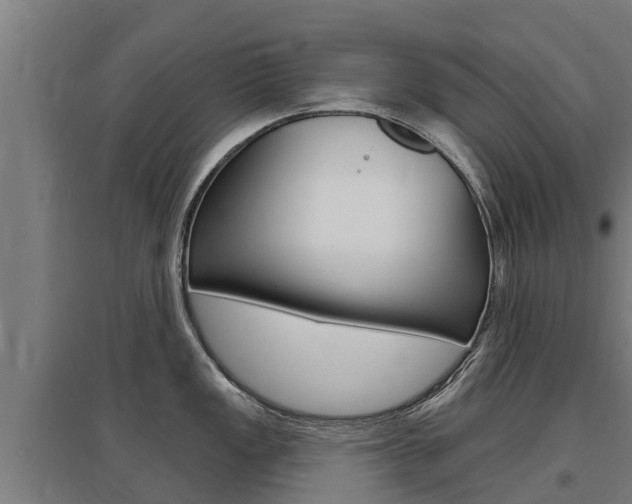 X0000097591149200802290744