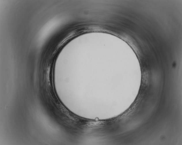 X0000097591150200802290744
