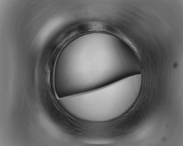 X0000097591151200802290744