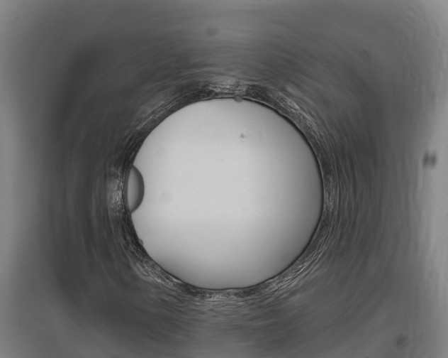 X0000097591154200802290743