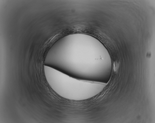 X0000097591155200802290743