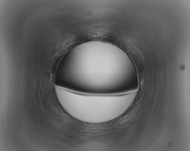 X0000097591156200802290743